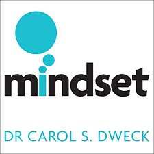 mindset book