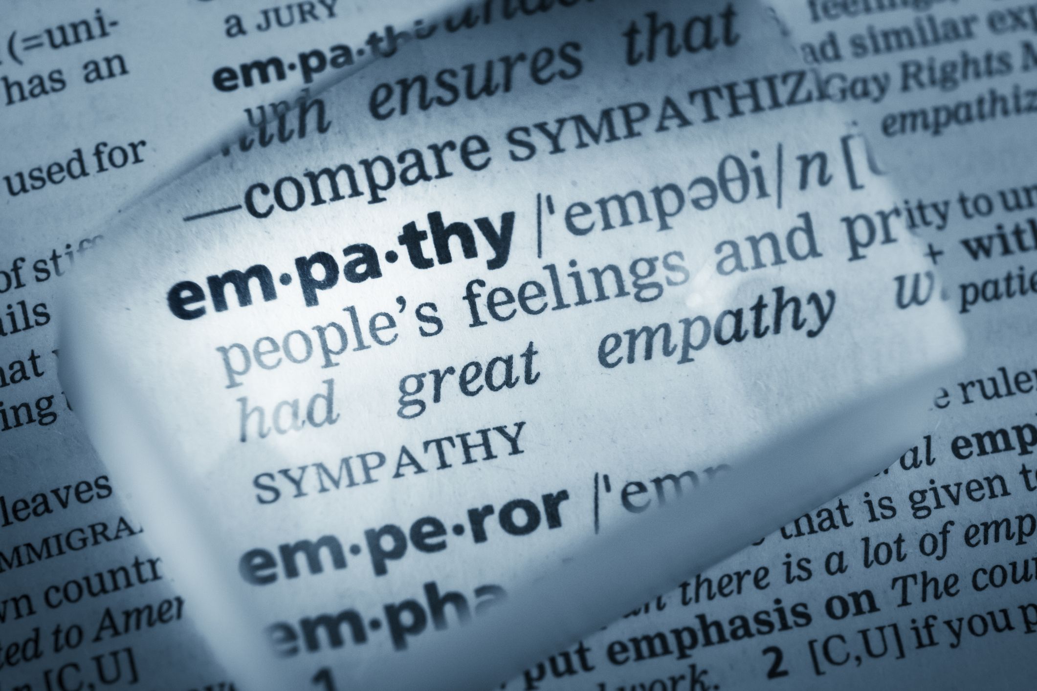 empathy definition
