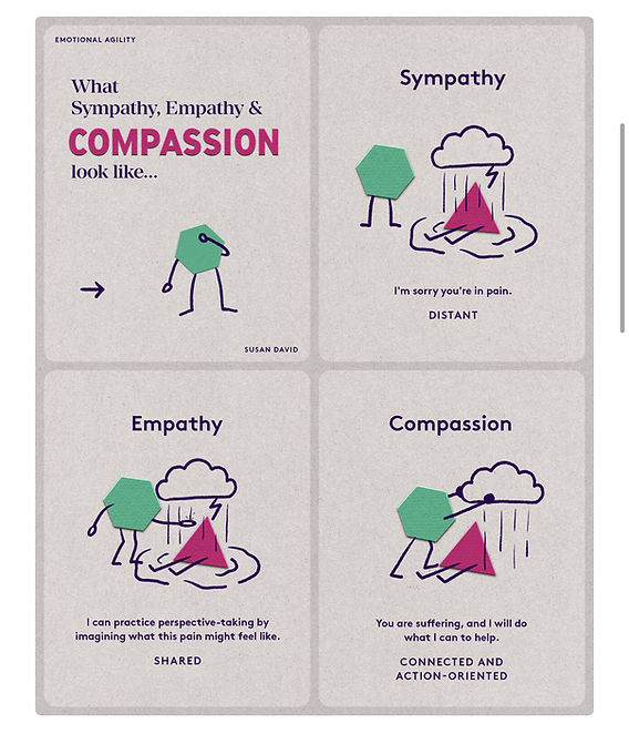 empathy v sympathy