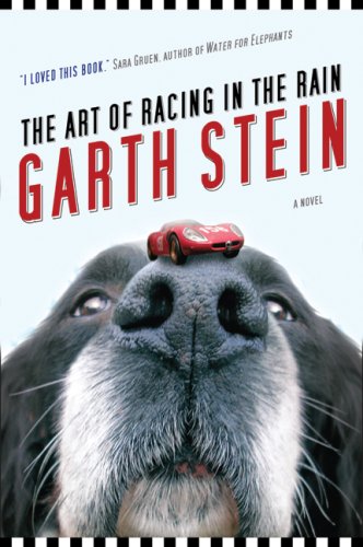 the art of racing in the rain book