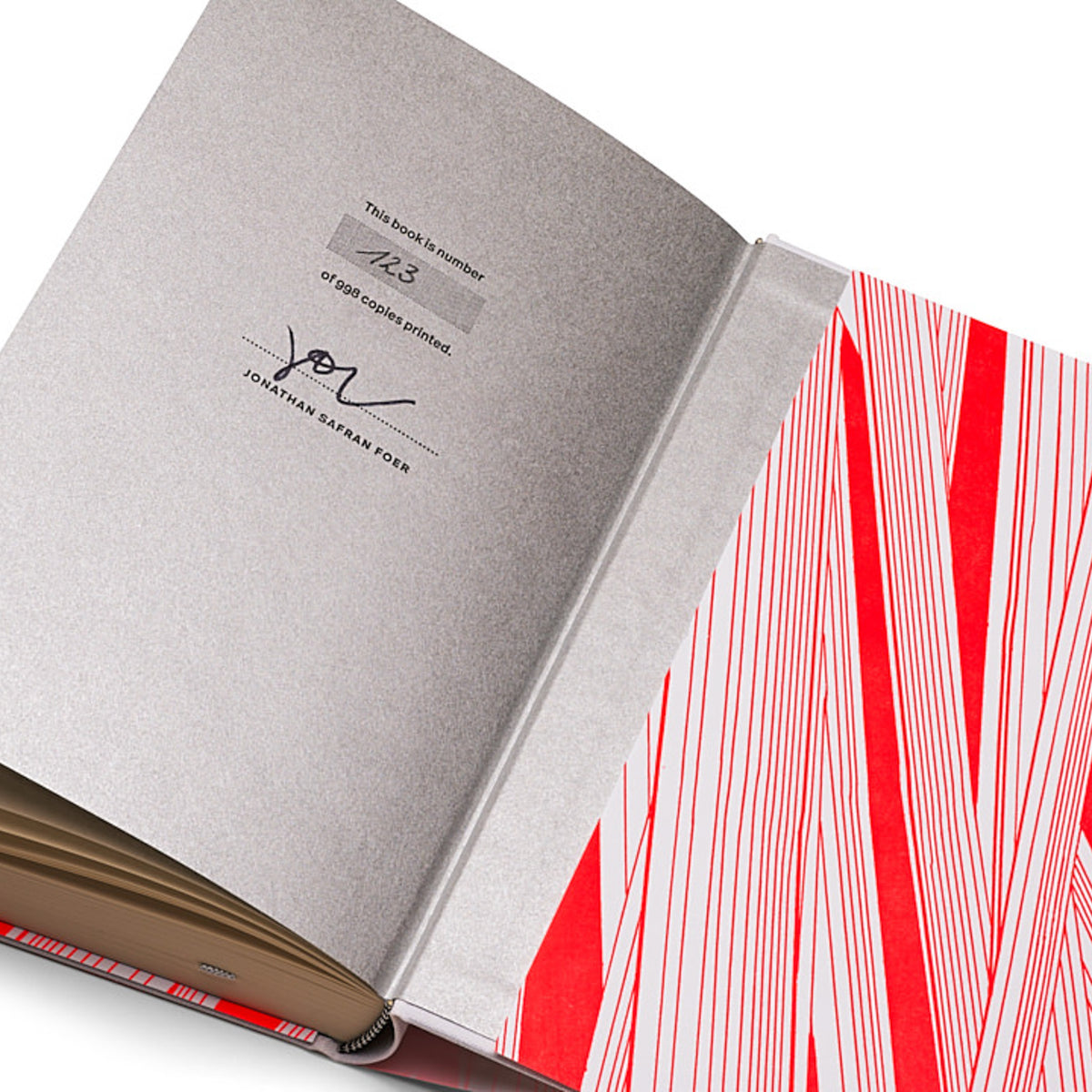 everything is illuminated book