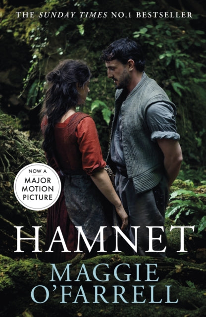 hamnet book